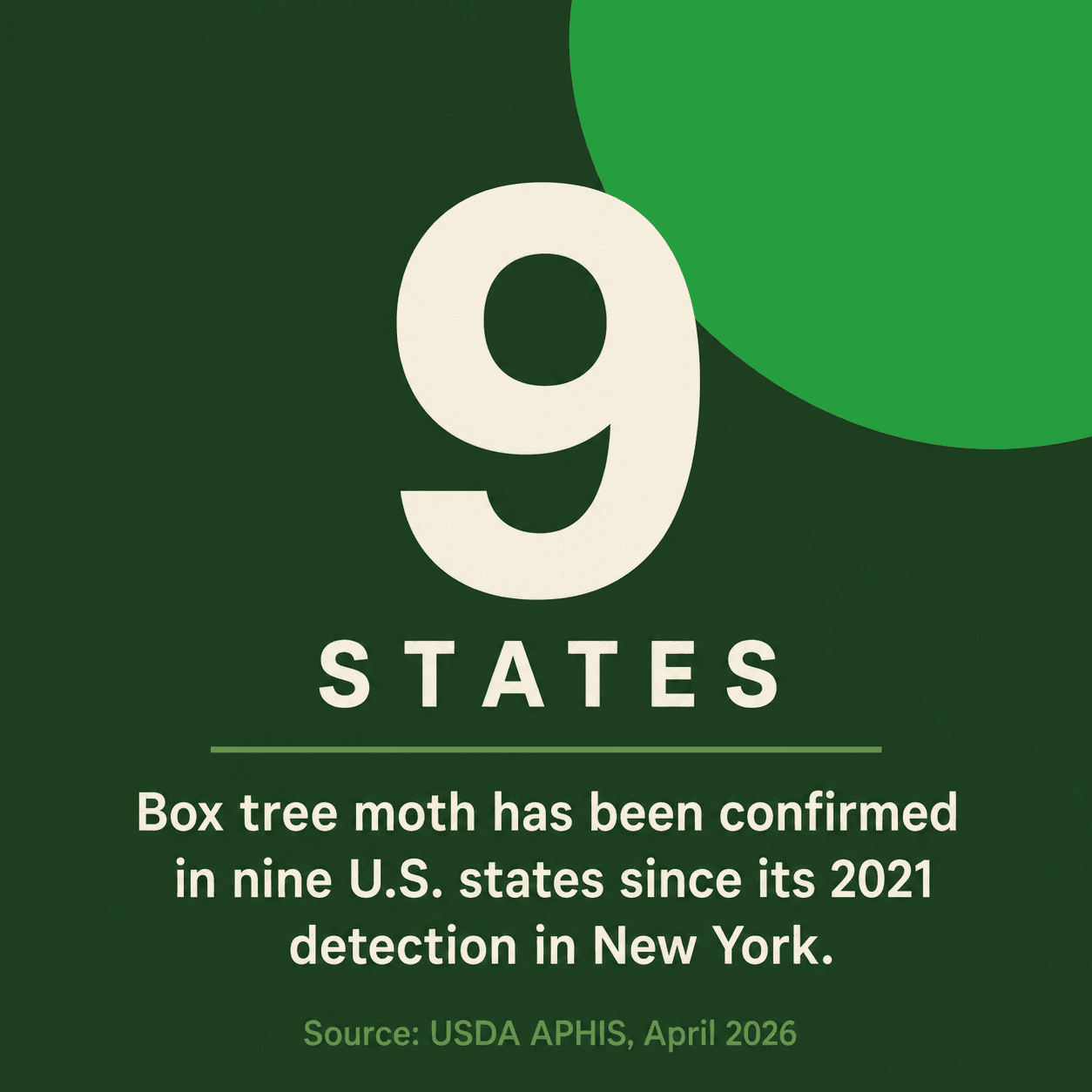 Box Tree Moth Confirmed in Nine States (1) Box Tree Moth Confirmed in Nine States (1)
