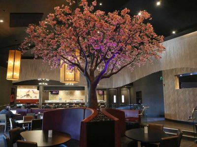 Cherry Blossom Tree Okura Sushi Restaurant Project 5