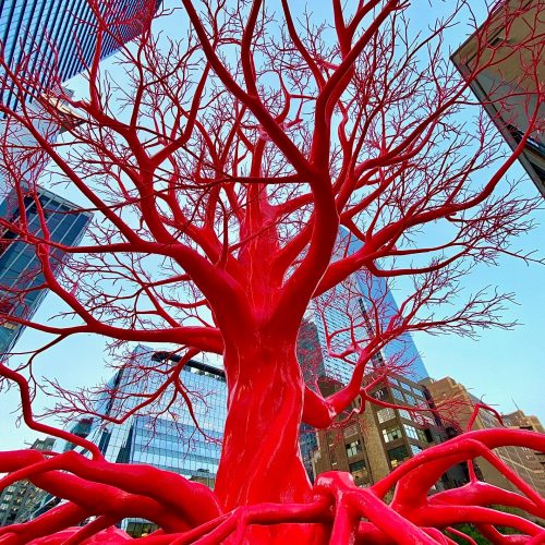 NM TR ART 4 LOW 2023 0001b