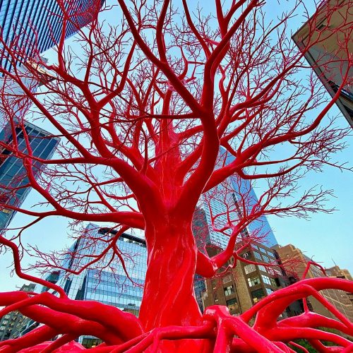 NM TR ART 4 LOW 2023 0001b