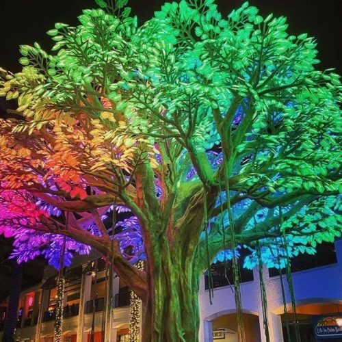 NM TR BAN 4 LOW 2020 0001b