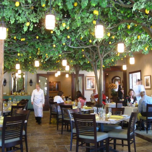 NM TR CIT 3 MED 2010 0001