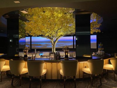 NM TR COT 5 LOW 20xx 0002