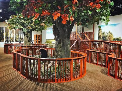 NM TR OAK 4 LOW 2017 0001