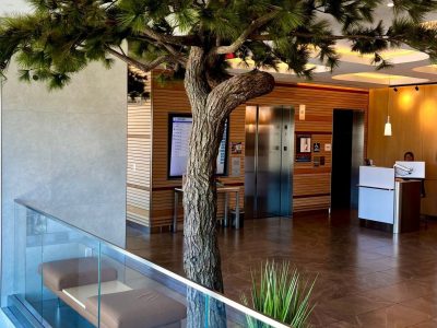 NM TR PIN 4 LOW 2011 0001