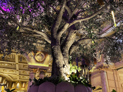 TS TR OLI 4 LOW 2018 0001